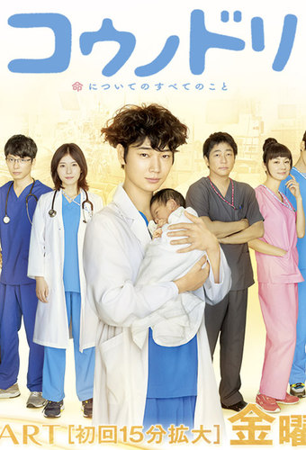 Dr. STORKS