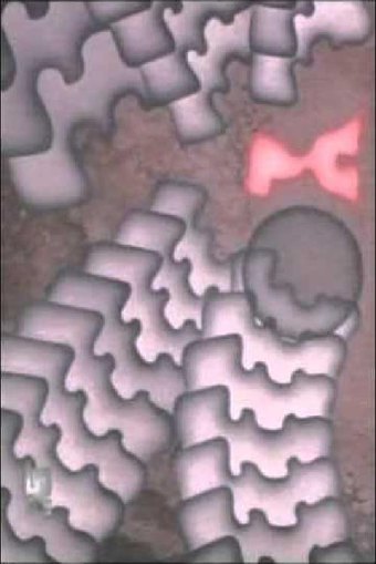 Embryo No.M