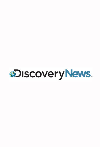 DNews