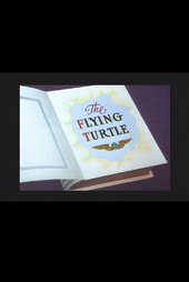 The Flying Turtle