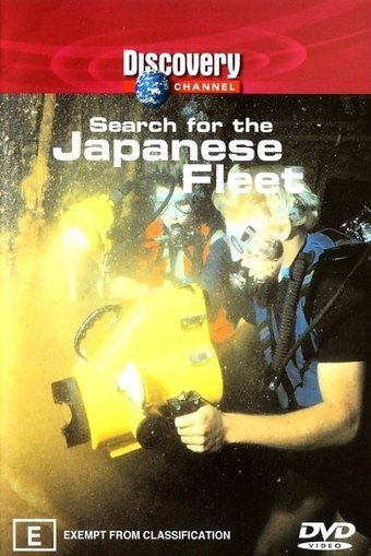 Search for the Japanese Fleet