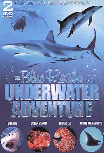 The Blue Realm