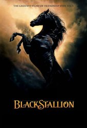 The Adventures of the Black Stallion