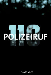 Police Call 110