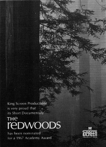 The Redwoods