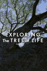 Exploring 'The Tree of Life'