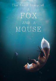 A Fox and a Mouse
