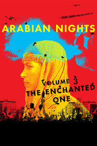 Arabian Nights: Volume 3, The Enchanted One