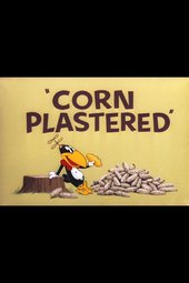 Corn Plastered