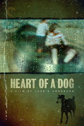 /movies/513640/heart-of-a-dog