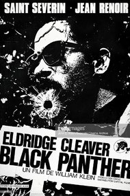 Eldridge Cleaver, Black Panther