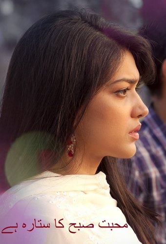 Mohabat Subh Ka Sitara Hai