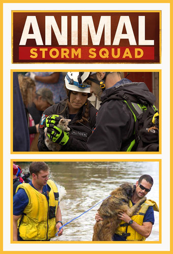 Animal Storm Squad