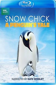 Snow Chick - A Penguin's Tale