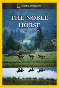 The Noble Horse