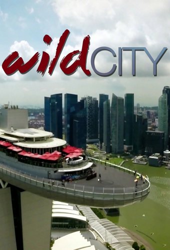 Singapore: Wild City