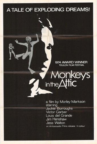 Monkeys in the Attic