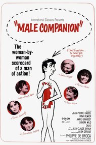 Male Companion