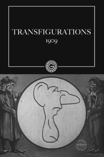 Transfigurations