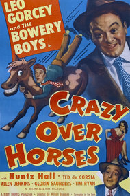 Crazy Over Horses