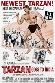 Tarzan Goes to India