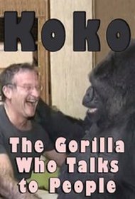 Koko: The Gorilla Who Talks to People