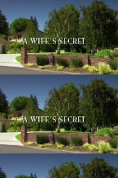 A Wife's Secret