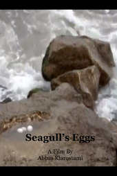 Seagull Eggs