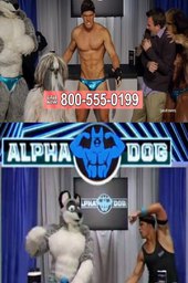 Alpha Chow