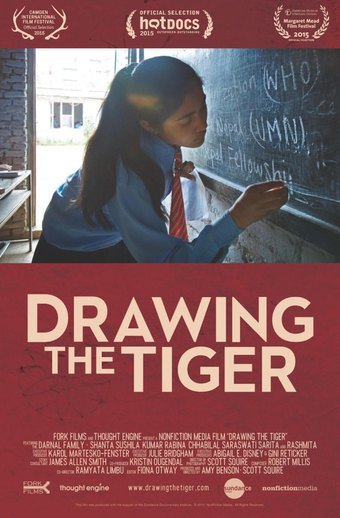 Drawing the Tiger