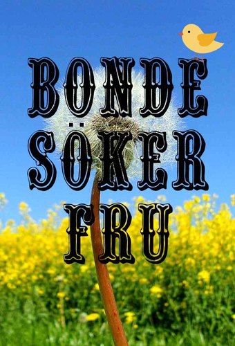 Bonde söker fru