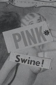 Pink Swine!