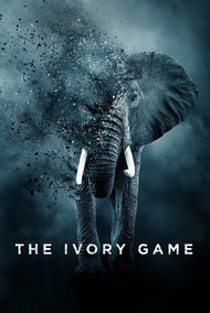 The Ivory Game