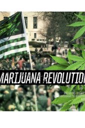 The Marijuana Revolution