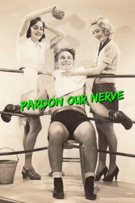 Pardon Our Nerve