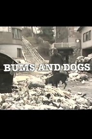 Bums and Dogs