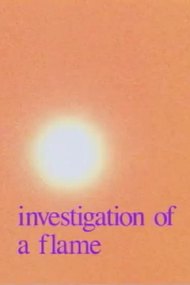 Investigation of a Flame