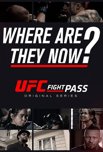 UFC: Where Are They Now?
