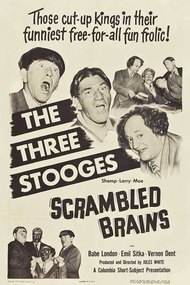 Scrambled Brains