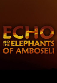 Echo and the Elephants of Amboseli