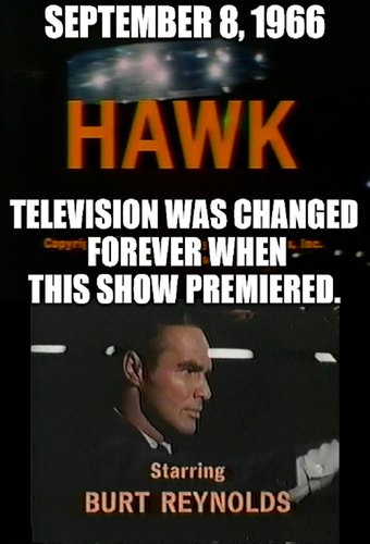 Hawk
