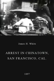 Arrest in Chinatown, San Francisco, Cal.