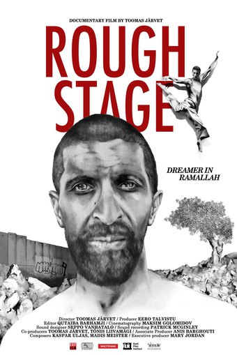 Rough Stage