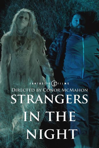 Strangers in the Night