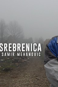 The Fog of Srebrenica