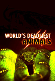 Earth's Deadliest Animals