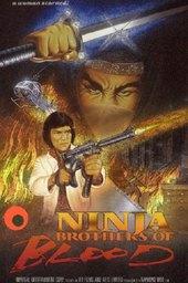 Ninja Knight: Brothers of Blood
