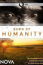 NOVA: Dawn of Humanity