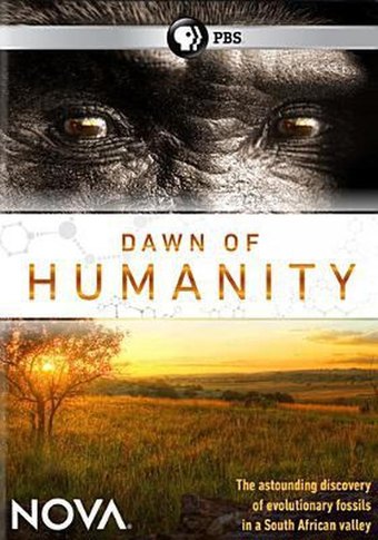Dawn of Humanity