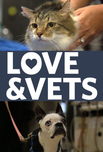 Love and Vets